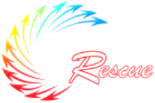 Air Rescue NY